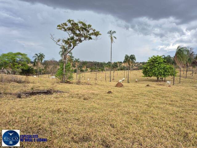 #3998 - Fazenda para Venda em Araçu - GO