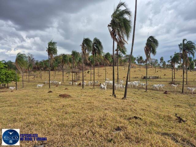 Venda em zona rural - Araçu
