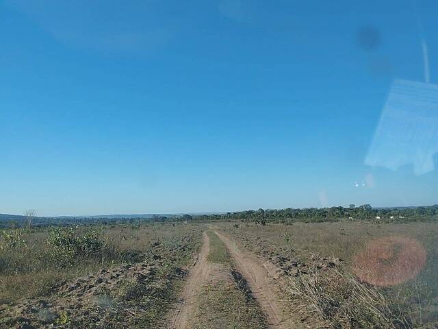 Fazenda para Venda em Doverlândia - 5