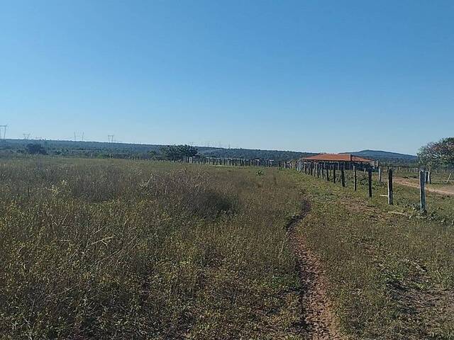 #3999 - Fazenda para Venda em Doverlândia - GO