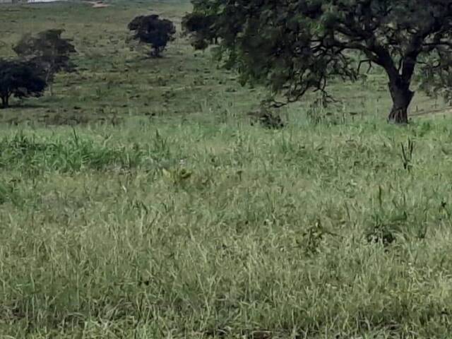 #4001 - Fazenda para Venda em Novo São Joaquim - MT