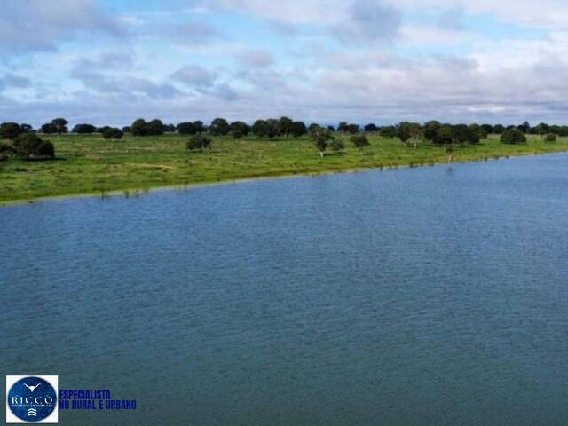 #4002 - Fazenda para Venda em Barra do Garças - MT