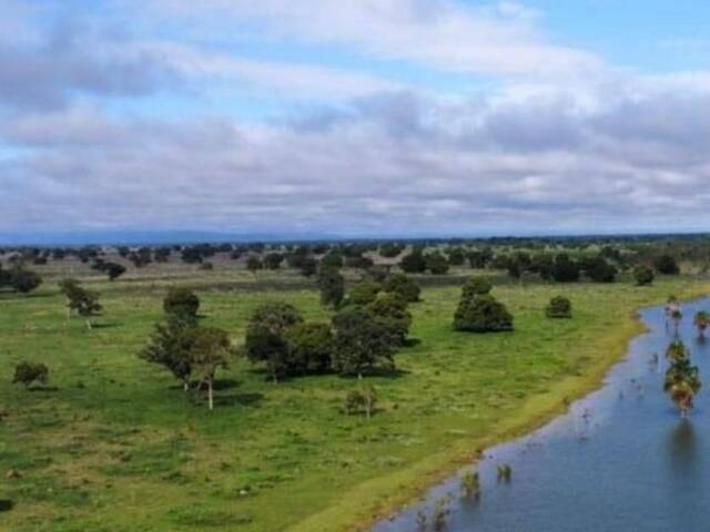 #4002 - Fazenda para Venda em Barra do Garças - MT