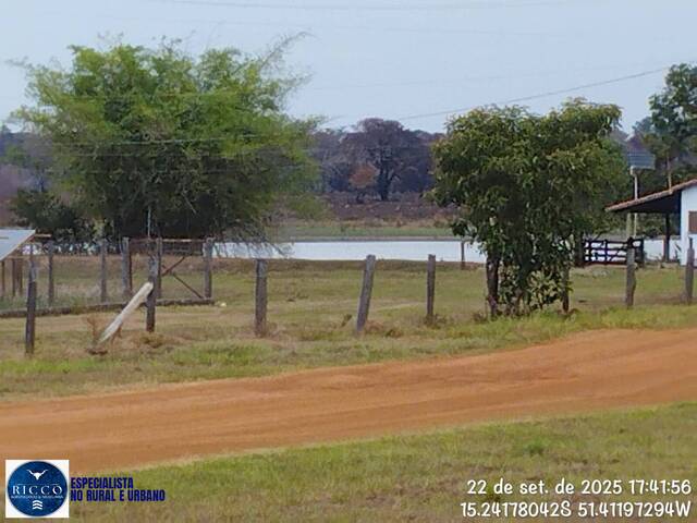 #4004 - Fazenda para Venda em Jussara - GO
