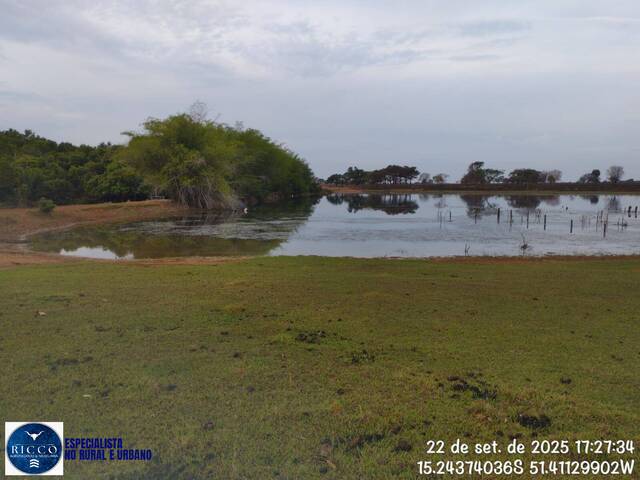 #4004 - Fazenda para Venda em Jussara - GO