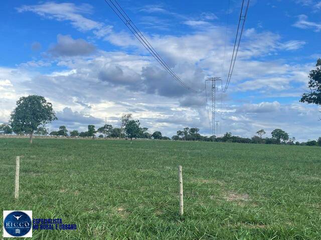 #4005 - Fazenda para Venda em Serranópolis - GO