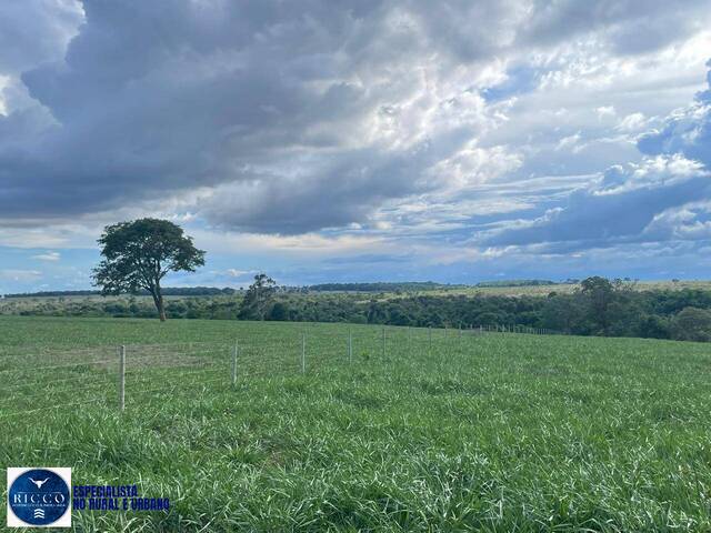 Fazenda para Venda em Serranópolis - 5