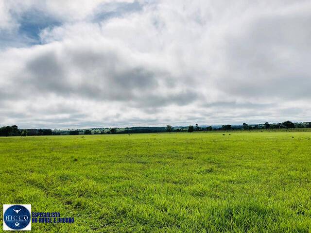 #4005 - Fazenda para Venda em Serranópolis - GO