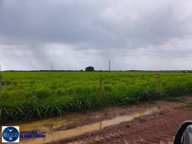 Fazenda para Venda em Alvorada - 5