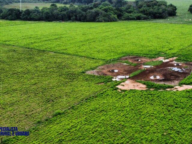 #4007 - Fazenda para Venda em Alvorada - TO