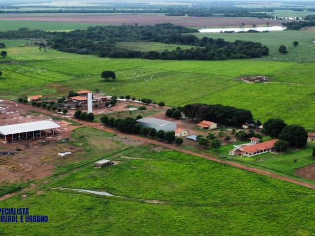 #4007 - Fazenda para Venda em Alvorada - TO