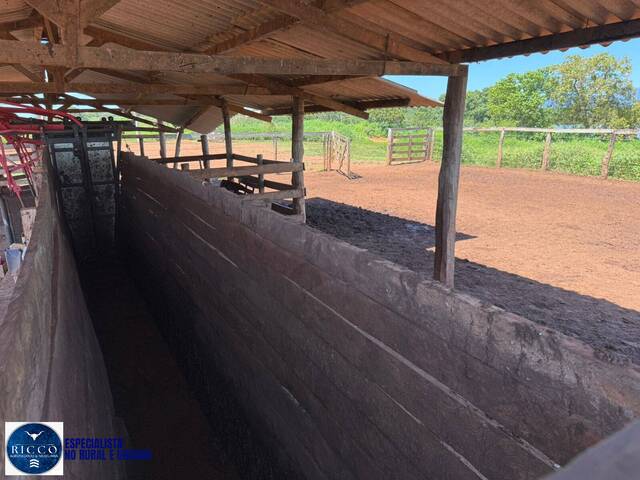Fazenda para Venda em Alto Paraíso de Goiás - 5