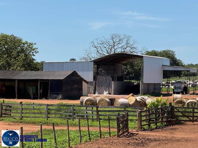 Fazenda para Venda em Alto Paraíso de Goiás - 4