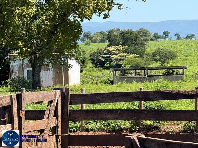 #4009 - Fazenda para Venda em Alto Paraíso de Goiás - GO