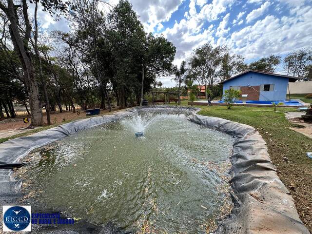 #4010 - Chácara para Venda em Bonfinópolis - GO