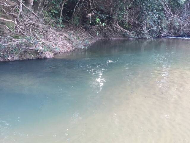 #4013 - Fazenda para Venda em Cocalzinho de Goiás - GO