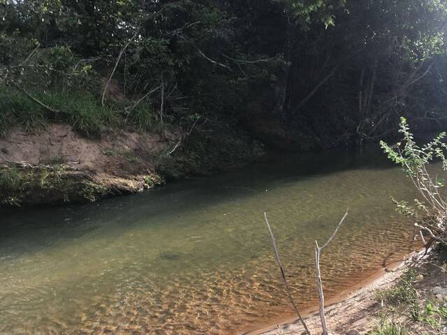 #4013 - Fazenda para Venda em Cocalzinho de Goiás - GO