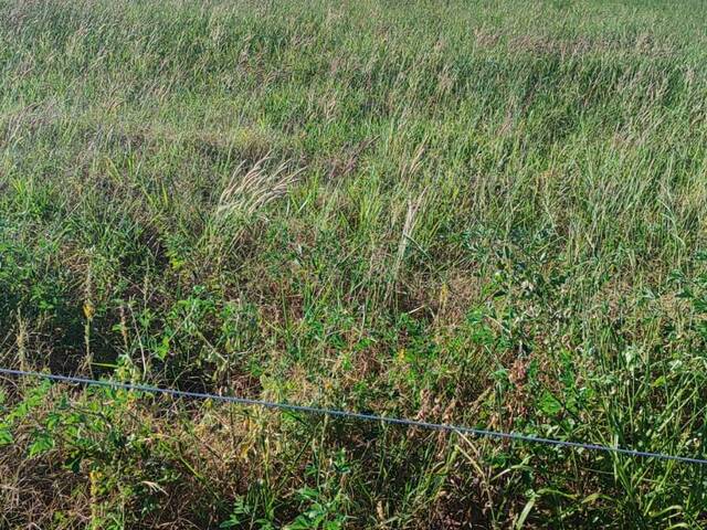 #4014 - Fazenda para Venda em Bom Jardim de Goiás - GO