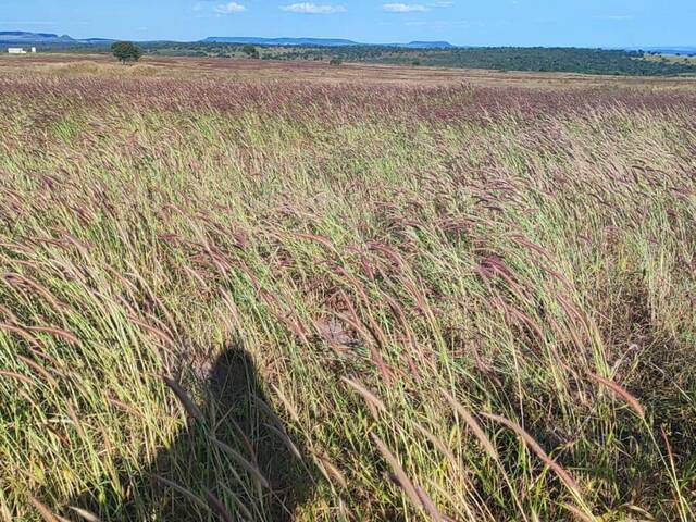 #4014 - Fazenda para Venda em Bom Jardim de Goiás - GO