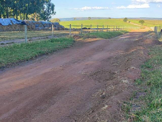 #4014 - Fazenda para Venda em Bom Jardim de Goiás - GO