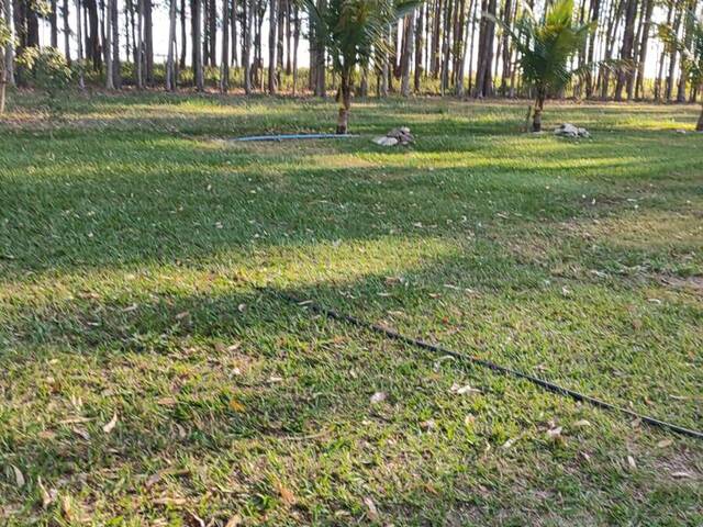 Venda em zona rural - Bom Jardim de Goiás