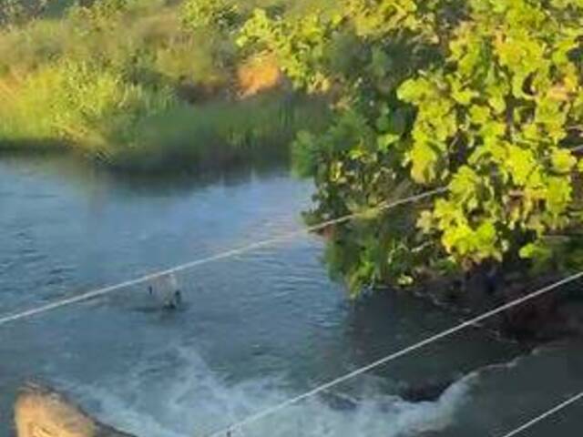 #4016 - Fazenda para Venda em São José do Xingu - MT