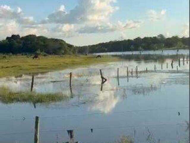 #4016 - Fazenda para Venda em São José do Xingu - MT