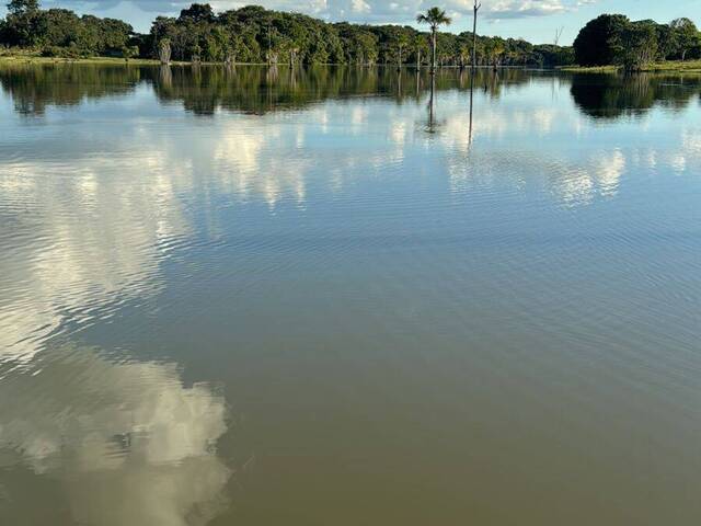 #4016 - Fazenda para Venda em São José do Xingu - MT