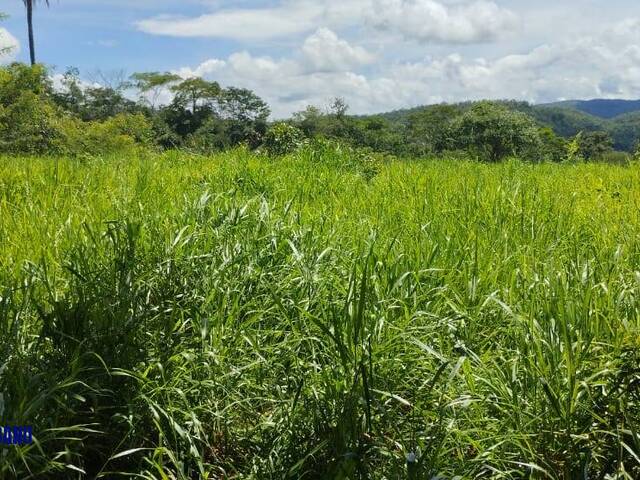 #4020 - Fazenda para Venda em Minaçu - GO