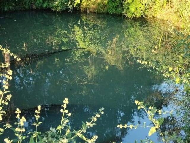 #4020 - Fazenda para Venda em Minaçu - GO