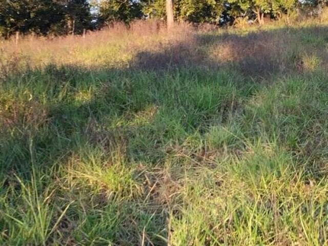 Fazenda para Venda em Minaçu - 5