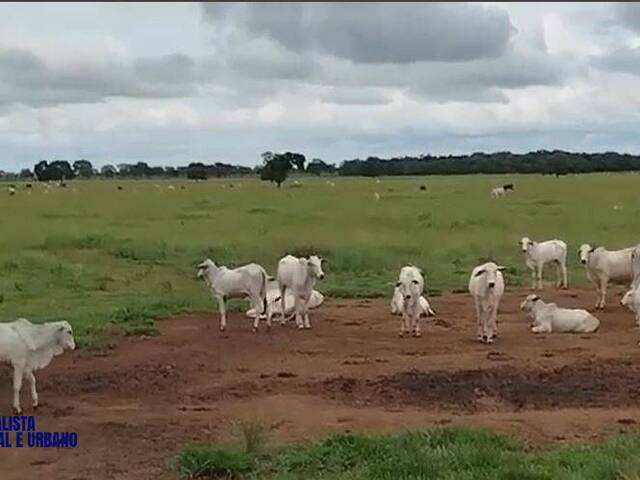 #4021 - Fazenda para Venda em Araguaiana - MT