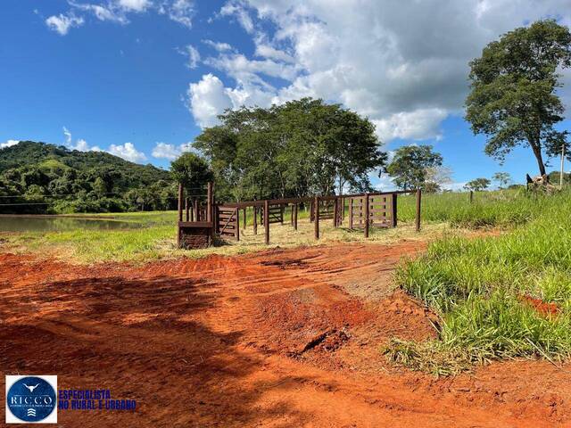 Chácara para Venda em Araçu - 5
