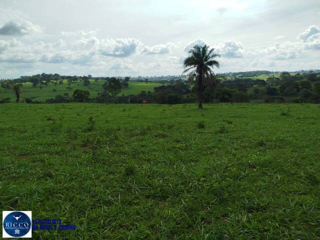 #4023 - Chácara para Venda em Araçu - GO