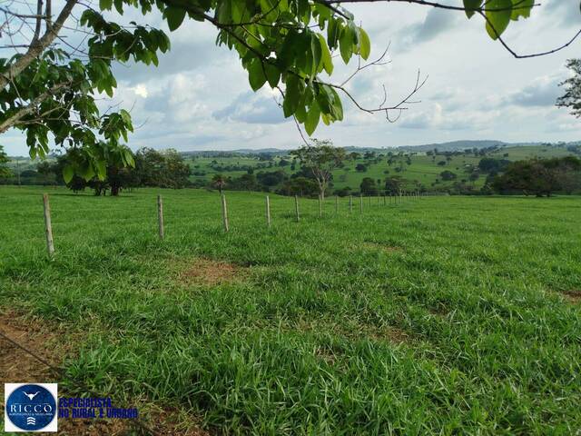 #4023 - Chácara para Venda em Araçu - GO