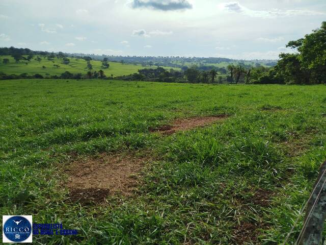 Chácara para Venda em Araçu - 4