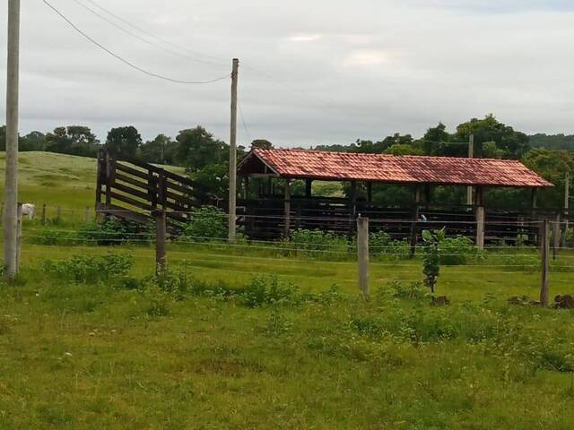 #4029 - Fazenda para Venda em Faina - GO