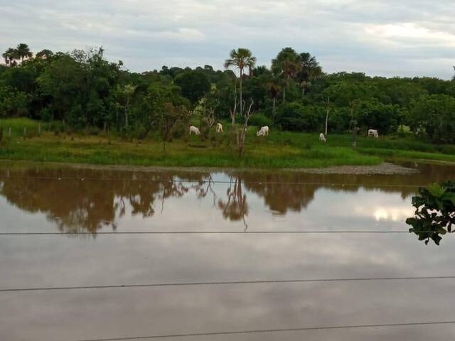 Venda em zona rural - Faina