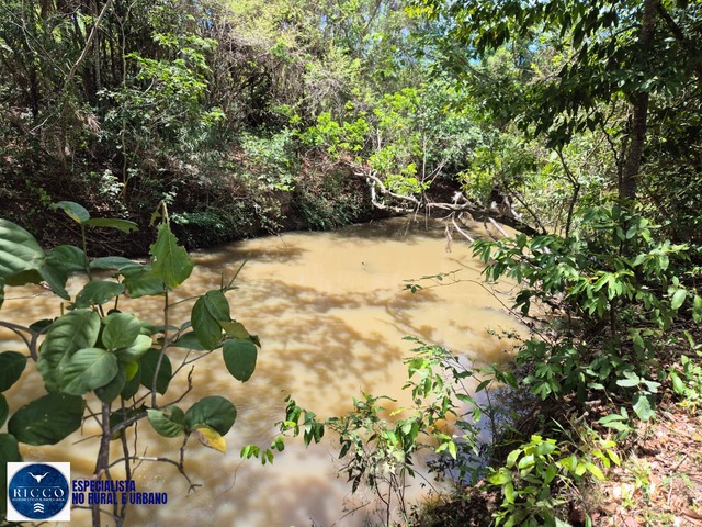 #4031 - Sítio para Venda em Palmeiras de Goiás - GO