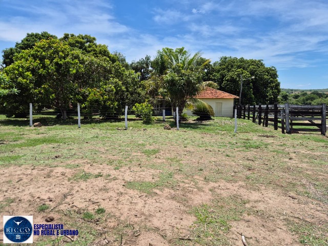 #4031 - Chácara para Venda em Palmeiras de Goiás - GO
