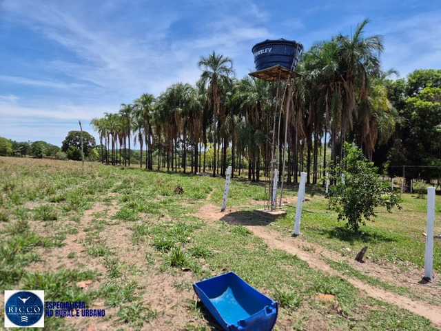 #4031 - Sítio para Venda em Palmeiras de Goiás - GO