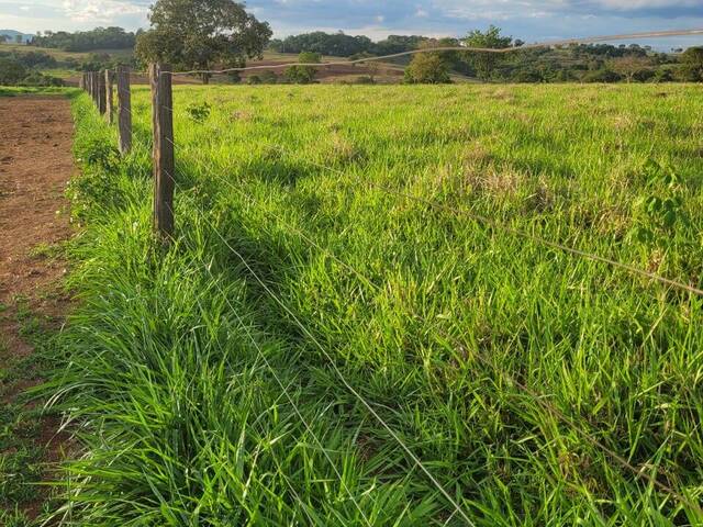 #4032 - Sítio para Venda em Itaguari - GO