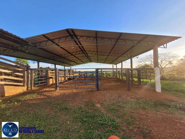 #4032 - Sítio para Venda em Itaguari - GO