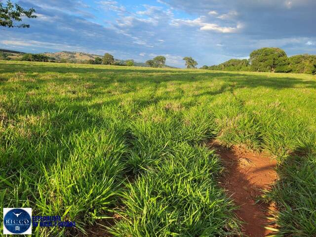 #4032 - Sítio para Venda em Itaguari - GO