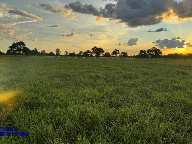 Venda em zona rural - Aruanã