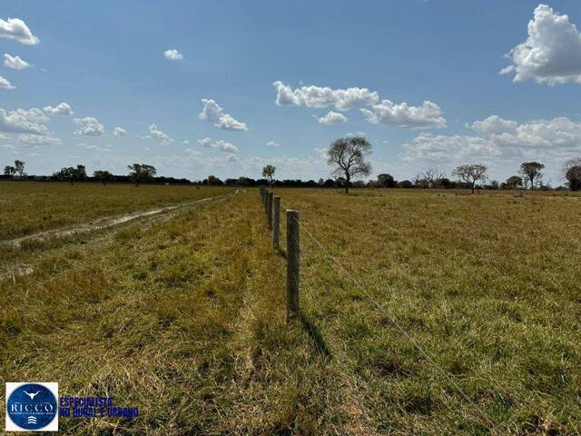 #4033 - Fazenda para Venda em Aruanã - GO