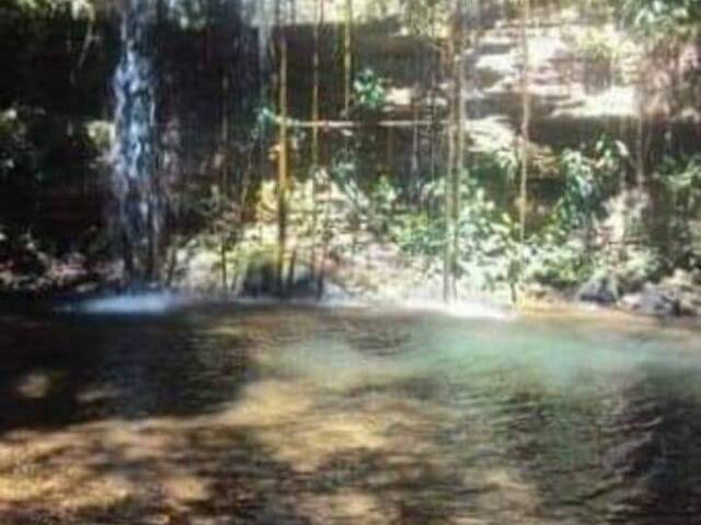 #962 - Fazenda para Venda em Palestina de Goiás - GO