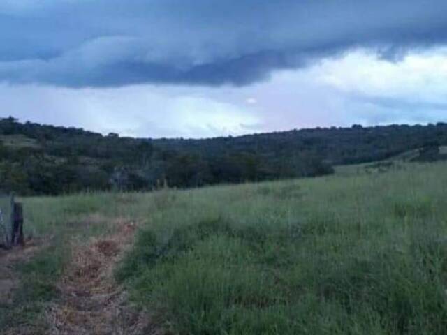 Fazenda para Venda em Palestina de Goiás - 4