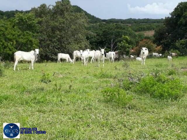 #962 - Fazenda para Venda em Palestina de Goiás - GO