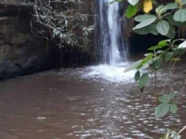 #962 - Fazenda para Venda em Palestina de Goiás - GO